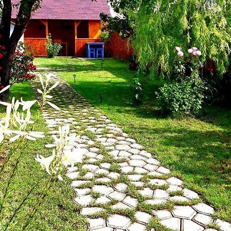 Casa Pavel Jurilovca Villa Ngoại thất bức ảnh