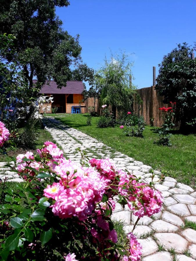Casa Pavel Jurilovca Villa Ngoại thất bức ảnh