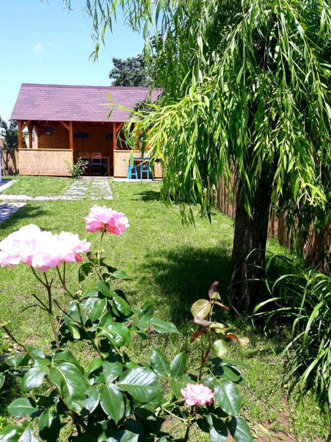 Casa Pavel Jurilovca Villa Ngoại thất bức ảnh
